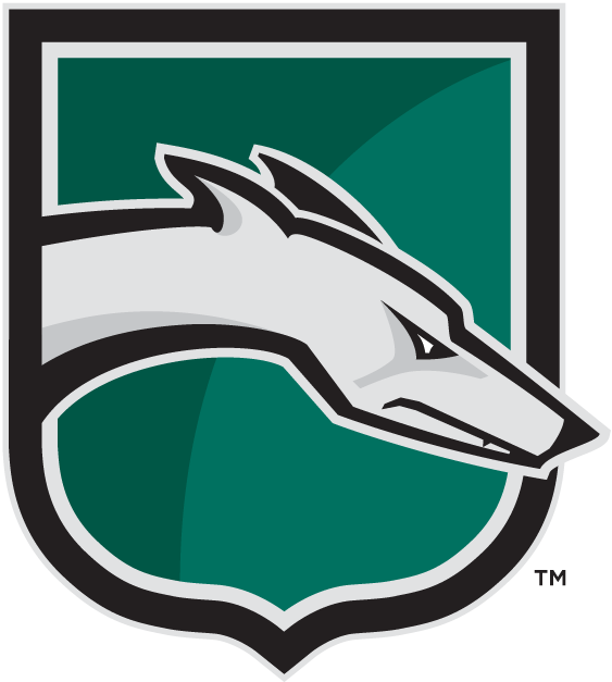 Loyola-Maryland Greyhounds 2002-Pres Alternate Logo diy DTF decal sticker